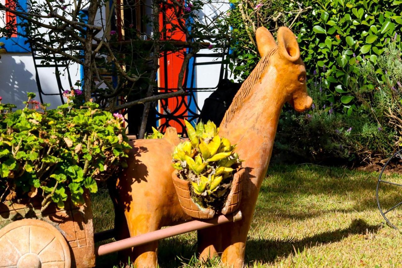 Pousada Araujo Bazilio Tiradentes Exteriér fotografie